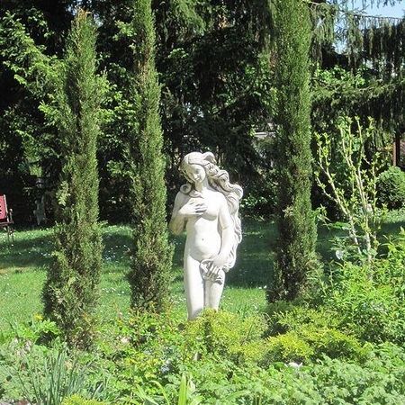 Garten mit weiblicher Statue zwischen vier schmalen Zypressen.