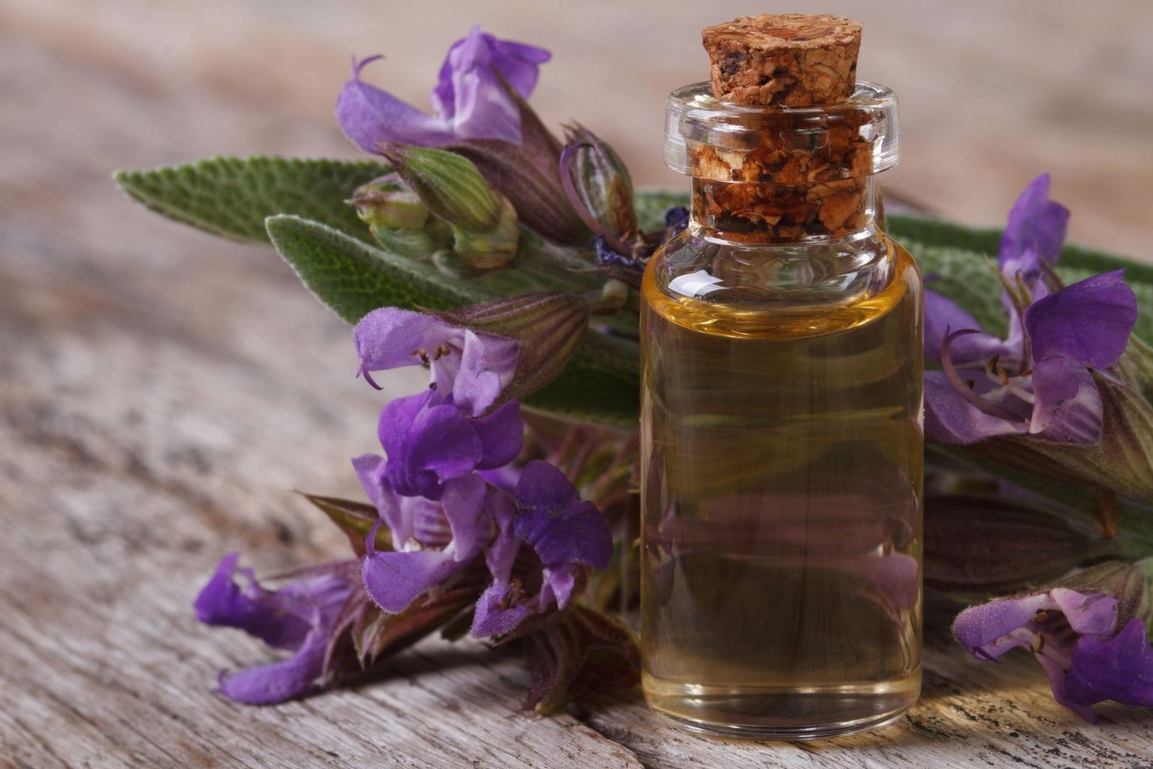 Fläschchen mit ätherischem Öl und violetten Blüten auf Holztisch